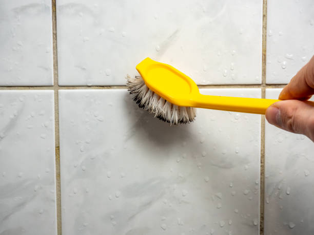 Best Mold Remediation for Schools in Campbellsburg, KY